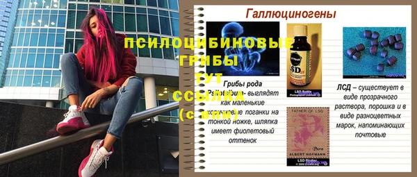 apvp Алексин