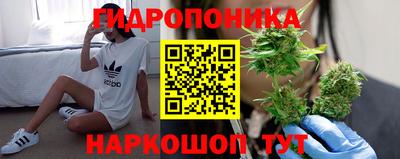 PSILOCYBIN Абакан