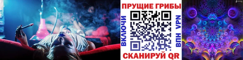 где купить наркоту Хабаровск Галлюциногенные грибы Psilocybe