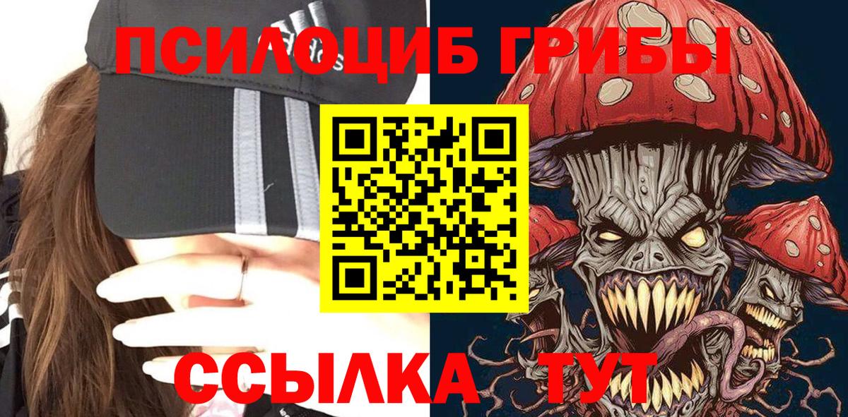 Галлюциногенные грибы Cubensis Хабаровск