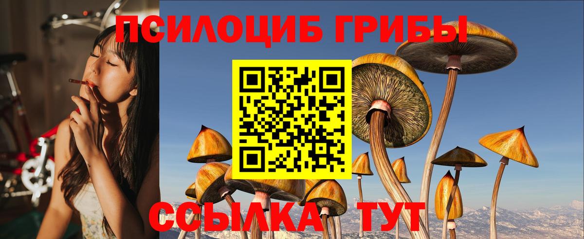 Хабаровск  Галлюциногенные грибы Psilocybine cubensis  Вход с VPN 