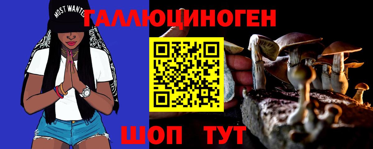 Псилоцибиновые грибы прущие грибы  Вход с VPN  цена наркотик  Хабаровск 