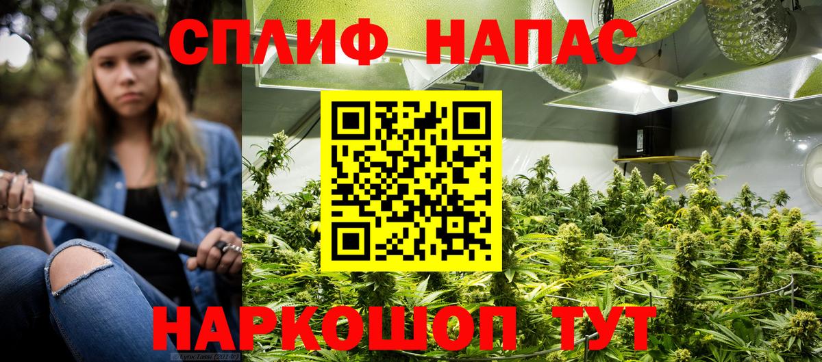 Бошки марихуана план  Каннабис конопля  Вход с VPN  Хабаровск 